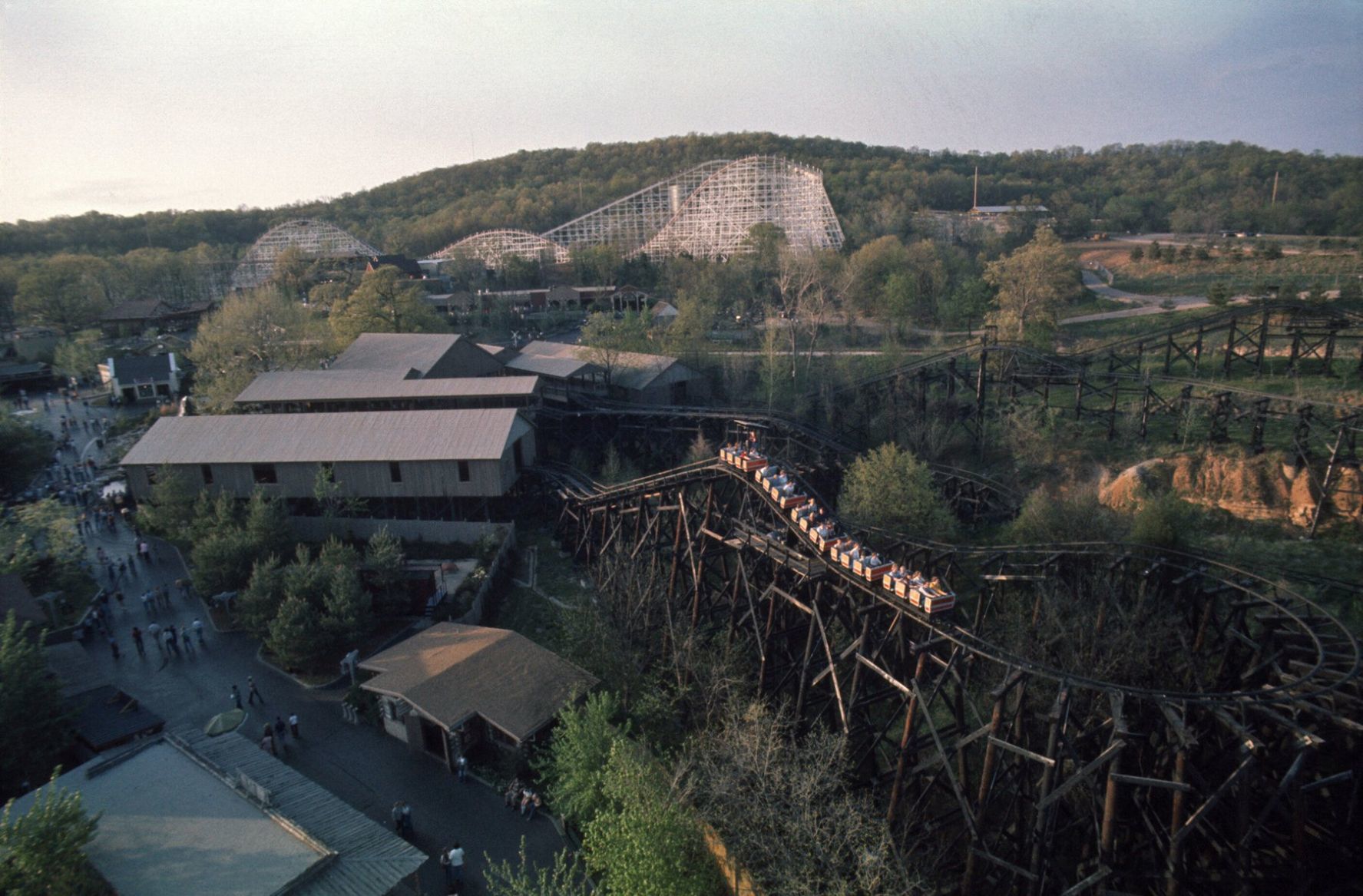 The Six Flags' Screamin' Eagle